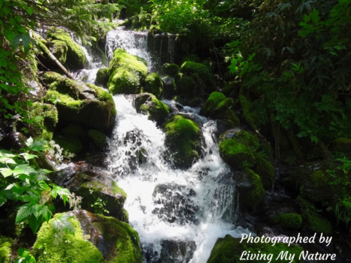 River on the path to Mt.Yari