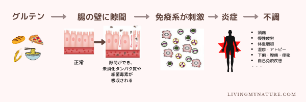 グルテンフリー ダイエット 本当に体にいいの Living My Nature